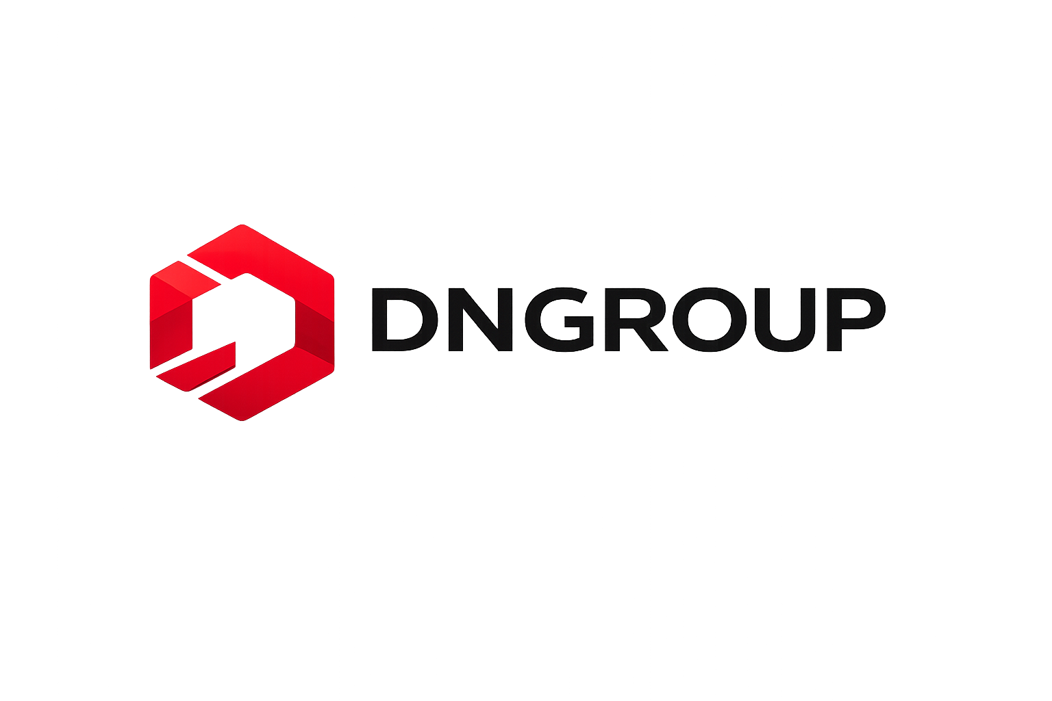 Datanerve Group Logo